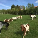 Laura Farm Апартаменты *