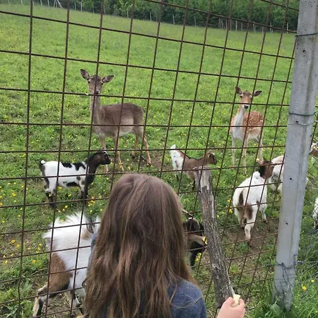 Appartamento Laura Farm *