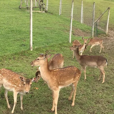 Laura Farm Podcetrtek