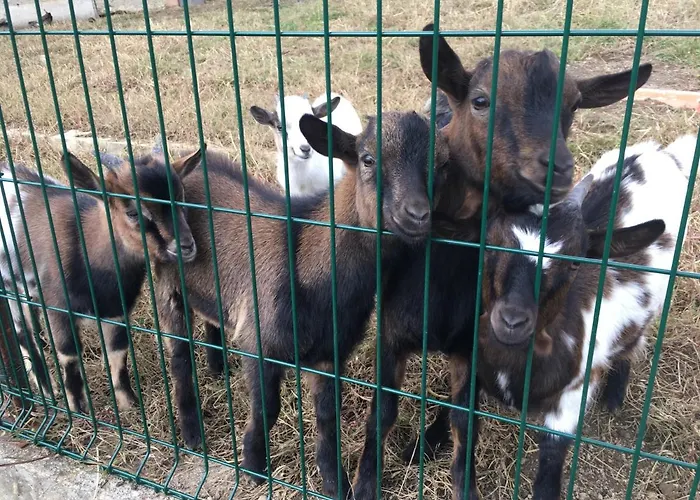 Laura Farm דירה *