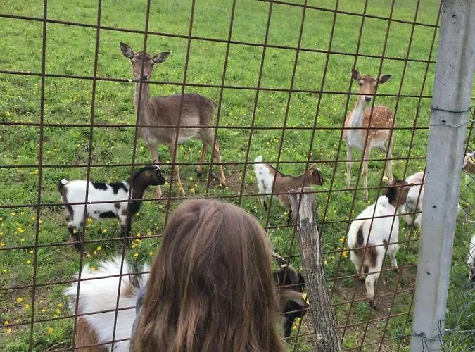 דירה Laura Farm *