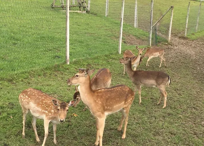 Laura Farm Podčetrtek