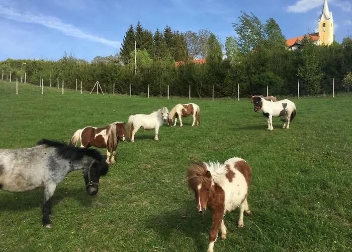 Laura Farm דירה *